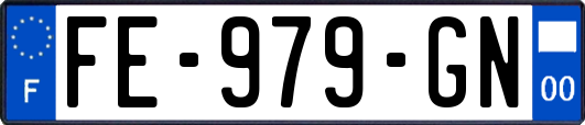 FE-979-GN