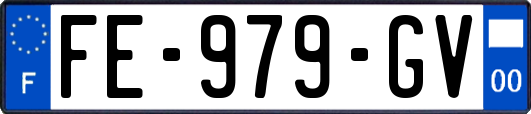FE-979-GV
