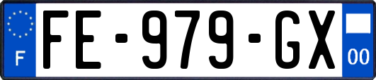 FE-979-GX