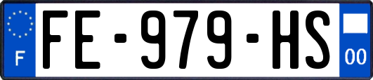 FE-979-HS