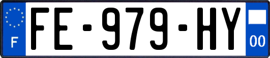 FE-979-HY