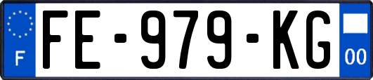 FE-979-KG