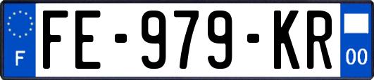 FE-979-KR