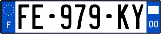 FE-979-KY