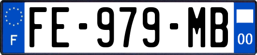 FE-979-MB