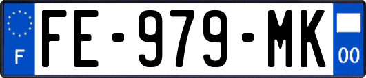 FE-979-MK