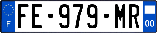 FE-979-MR