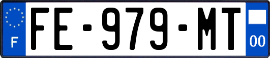 FE-979-MT