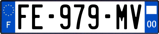 FE-979-MV