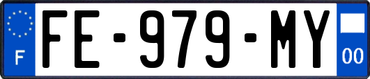 FE-979-MY