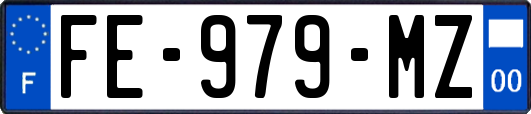 FE-979-MZ