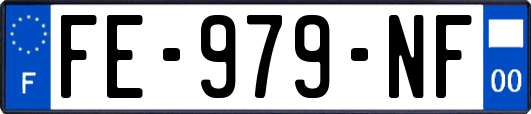 FE-979-NF
