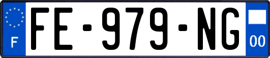 FE-979-NG