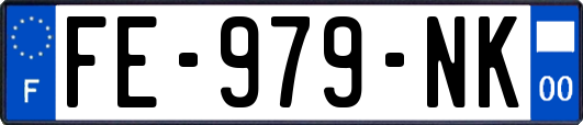 FE-979-NK