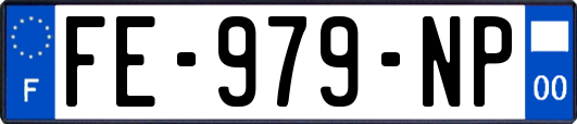 FE-979-NP