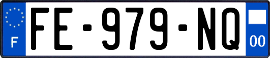 FE-979-NQ