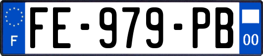 FE-979-PB