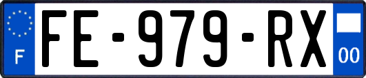 FE-979-RX