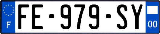 FE-979-SY