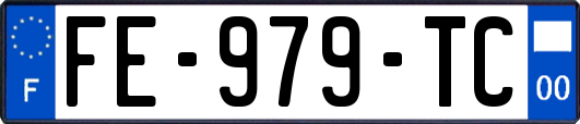 FE-979-TC