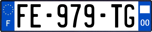 FE-979-TG