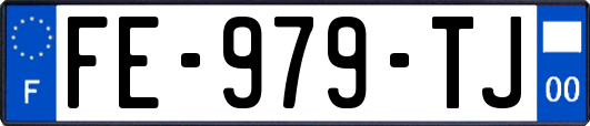 FE-979-TJ