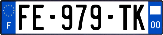 FE-979-TK