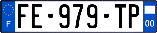 FE-979-TP