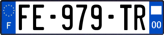 FE-979-TR