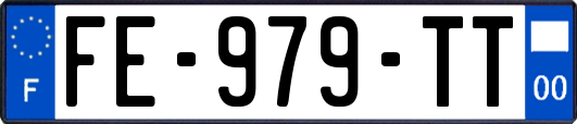 FE-979-TT