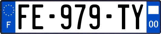 FE-979-TY