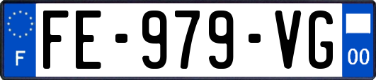 FE-979-VG