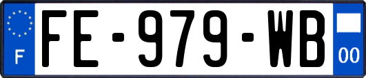 FE-979-WB