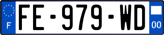 FE-979-WD
