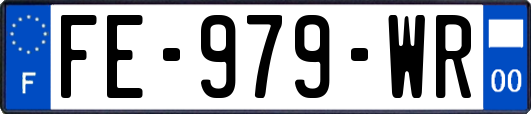 FE-979-WR