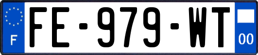 FE-979-WT