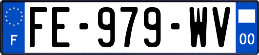 FE-979-WV