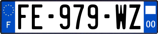 FE-979-WZ