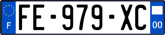 FE-979-XC