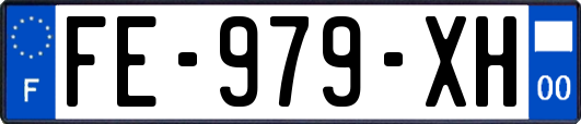 FE-979-XH