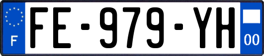 FE-979-YH
