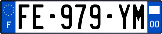 FE-979-YM