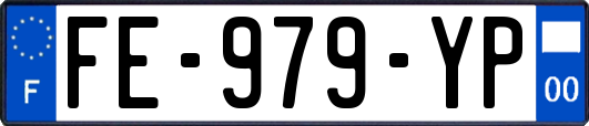 FE-979-YP