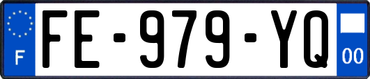 FE-979-YQ