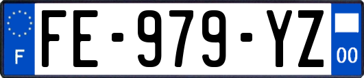 FE-979-YZ