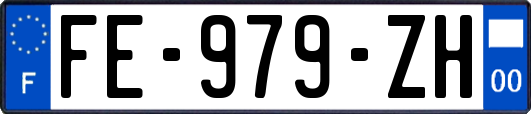 FE-979-ZH