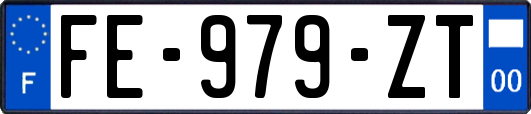 FE-979-ZT