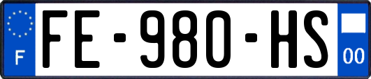 FE-980-HS