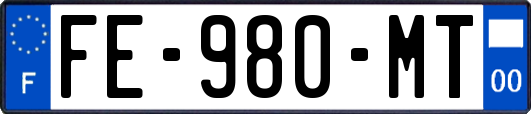 FE-980-MT