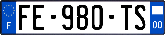 FE-980-TS
